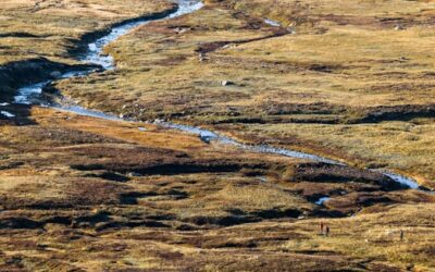 A climate-neutral pathway makes 90 percent of fossil fuels in the EU redundant by 2050