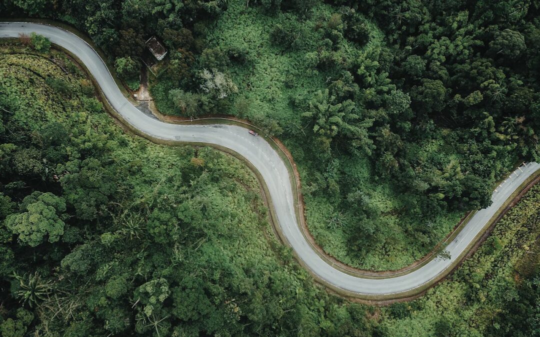 From Net-Zero to Zero-Fossil in Transforming the EU Energy System