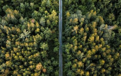 Global Stakeholder Workshop II (SB64) — From Ambition to Action: Aligning Equity, Finance, and Climate Pathways towards 1.5°C